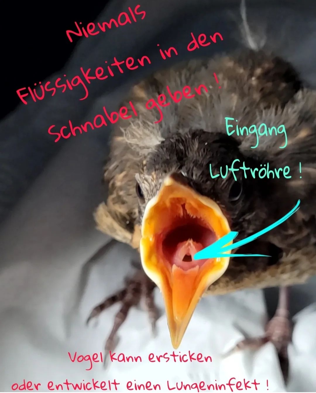InfoAllgemein Allgemeine Infos